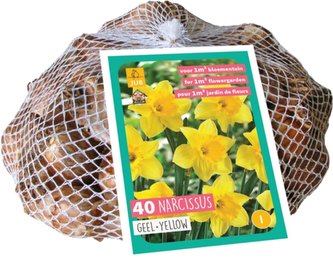 Síťka - XXL - Narcis Yellow (40 cibulí)