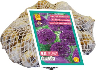 Síťka - XXL - Česnek Allium Purple Rain (40 cibulí)