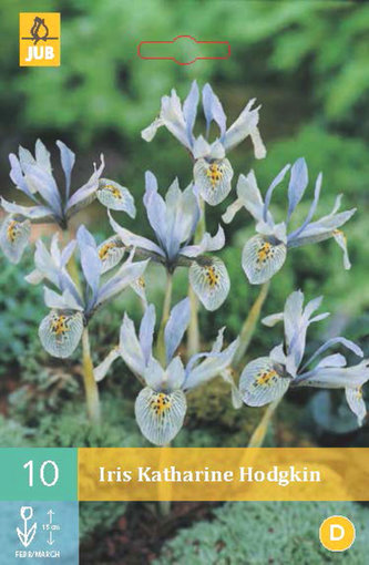 Karta - Kosatec - Iris Katharine Hodgkin (10 cibulí) "C"