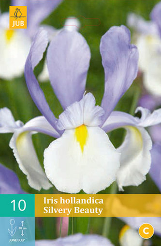 Karta - Kosatec - Iris Silvery Beauty  (10 cibulí) "B"