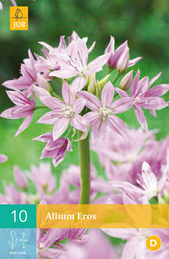 Karta - Česnek - Allium Eros (10 cibulí) "B"