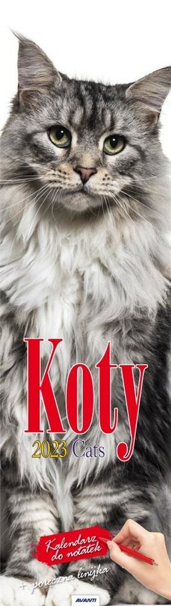 Kalendarz 2023 Paskowy Koty AVANTI
