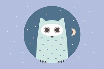 Prostírání OWL - sova, PP plastik, 28,5x43,5cm - Kela