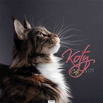 Kalendarz 2023 Ścienny Koty AVANTI