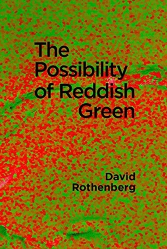 The Possibility of Reddish Green - Wittgenstein Outside Philosophy