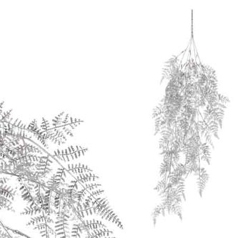 Kapradí převis, barva stříbrná matná.