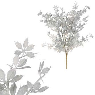 Přísavník pětiprstý v trsu, světle šedivá barva.