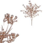 Travina kvetoucí, barva měděná matná.