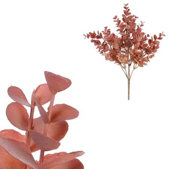 Eukalyptus v trsu, cihlově-hnědá barva.