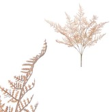 Kapradí v trsu, lanýžová barva.