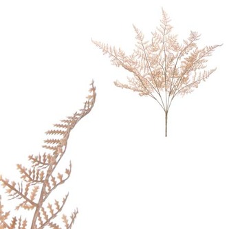 Kapradí v trsu, lanýžová barva.