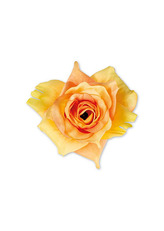 Růže, barva žluto-oranžová, Květina umělá vazbová. Cena za balení 12 kusů