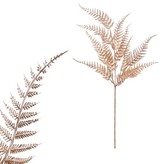 Kapradí, barva zlatá matná.