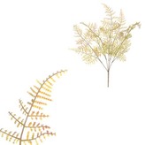 Kapradí v trsu, zelená barva.