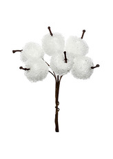 Jablíčko bílé - omrznuté na drátku. Cena za 1sáček/24ks jablíček.