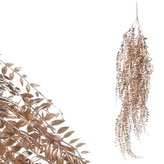 Sleziník červený převis, barva měděná matná.