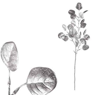 Větev, barva stříbrná matná.