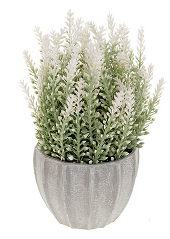 Vřes v plastovém obalu, umělá květina, bílá barva.