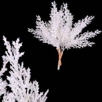 Tůje zápich,Barva bílá s glitry.