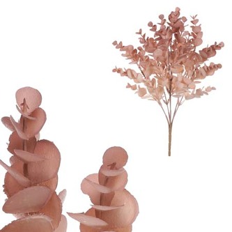 Eukalyptus v trsu, hnědo-fialová barva.