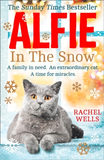Alfie in the Snow Alfie in the Snow