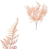 Kapradí v trsu, cihlová barva.