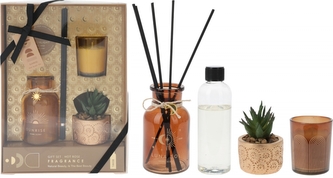 Sada vůní - vonný difuzér, svíčka a sukulent v květináči, vůně Hot rose