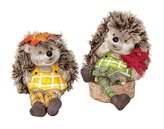 Ježek v kalhotech podzimní sedící