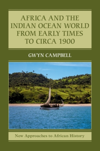 New Approaches to African History