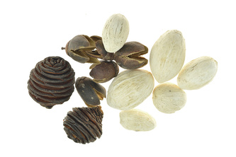 Přírodní dekorace sušené bobule mix 6