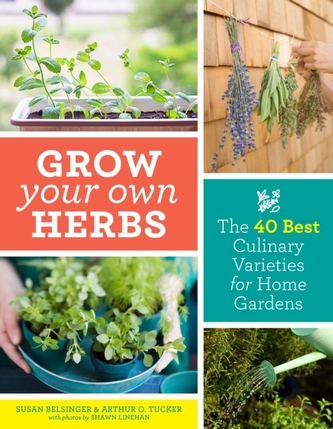 Grow Your Own Herbs Grow Your Own Herbs
