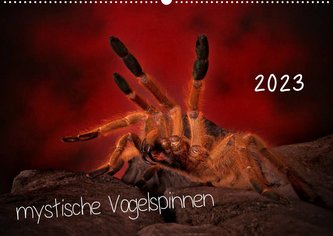 Mystische Vogelspinnen (Wandkalender 2023 DIN A2 quer)