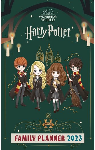 Oficiální nástěnný plánovací kalendář 2023 Harry Potter (25 x 41 cm)