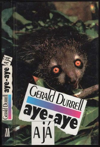 aye - aye