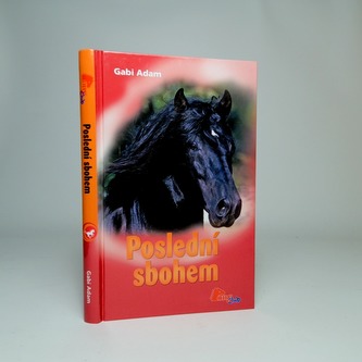 Poslední sbohem
