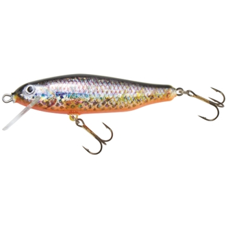 Wobler Forell Floater 10cm vzor 004