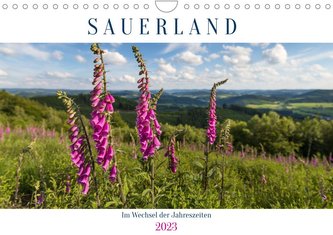 Das Sauerland im Wechsel der Jahreszeiten (Wandkalender 2023 DIN A4 quer)