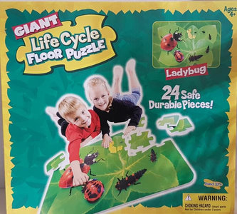 INSECT LORE Pěnové puzzle Beruška