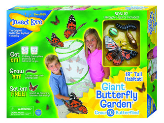 INSECT LORE Velká motýlí zahrádka 6-10 housenek