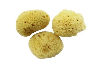 Mořská menstruační houbička__VELIKOST:L