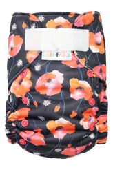 Ai2 BIO (M) - Sedmikrásky v makovém poli SZ