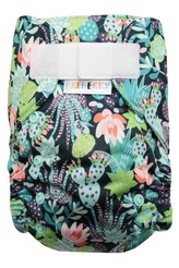 Ai2 BIO (M) - Kaktusy a sukulenty SZ