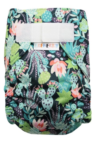 Ai2 BIO (M) - Kaktusy a sukulenty SZ