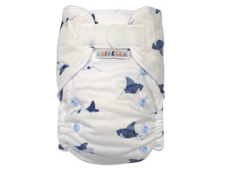 Ai2 BIO (M) - Rejnoci SZ