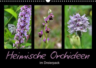Heimische Orchideen im Dreierpack (Wandkalender 2023 DIN A3 quer)