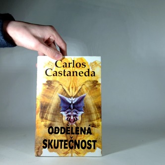 Oddělená skutečnost