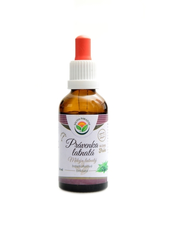Salvia paradise - Právenka latnatá AF tinktura 50 ml Andrographis paniculata
