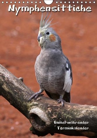 Nymphensittiche (Wandkalender immerwährend DIN A4 hoch)