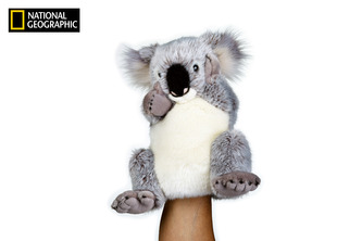 National Geographic maňásek  Koala 26 cm