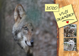 Kalendář 2020 - Vlčí okamžiky